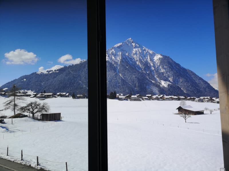 Umbau Einfamilienhaus Faulensee